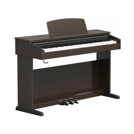 ORLA CDP1 RW Rosewood