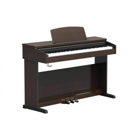 ORLA CDP101 RW Rosewood