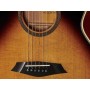 LARRY CARLTON A4-G Cutaway Vintage Sunburst