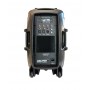 ZZIPP ZZPX112 - 200 WATT RMS