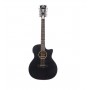 D'ANGELICO Premier Fulton LS Matte Black