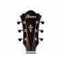 IBANEZ AE160 Vintage Mahogany Sunburst