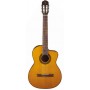 TAKAMINE GSC1CE Natural Gloss