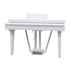 ECHORD GP10 White