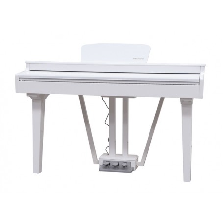 ECHORD GP10 White