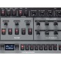 OBERHEIM OB-X8 Desktop