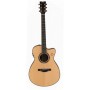 YAMAHA TransAcoustic TAS3 C Natural