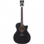D'ANGELICO Premier Gramercy LS Matte Black