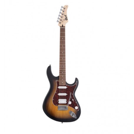 CORT G110 Open Pore Sunburst