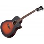 D'ANGELICO Premier Gramercy LS Satin Vintage Sunburst