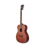 D'ANGELICO Premier Tammany LS Natural Mahogany Satin