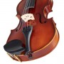 GEWA Allegro VL1 Violin Set 4/4