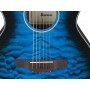 IBANEZ AEWC16QA TLH