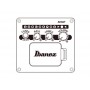 IBANEZ AEWC16QA TEH