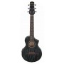 IBANEZ EWP16EWB-GAO