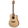 Crafter HD-250CE/N