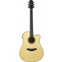 Crafter HD-250CE/N