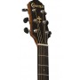 Crafter HD-250CE/N