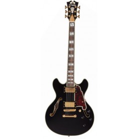 D'ANGELICO Excel Mini DC Black