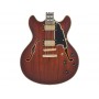D'ANGELICO Deluxe DC Satin Brown Burst