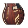 D'ANGELICO Deluxe SS Satin Brown Burst