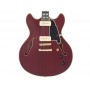 D'ANGELICO Deluxe DC Satin Trans Wine