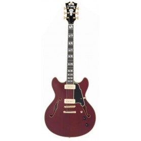 D'ANGELICO Deluxe DC Satin Trans Wine