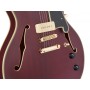 D'ANGELICO Deluxe DC Satin Trans Wine