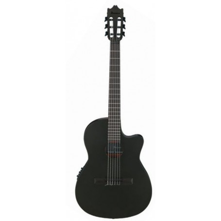 IBANEZ GA621 BOT