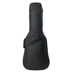 PALMIN GC Comfort Acoustic