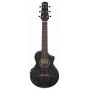IBANEZ EWP16EWB-GAO