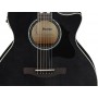 IBANEZ AE170 TBK