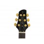 LARRY CARLTON Q7 Tobacco Sunburst