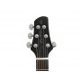 LARRY CARLTON Q7 MGO Metallic Gold
