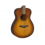 YAMAHA TAS1E Sandburst
