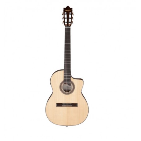 IBANEZ GA360TCE-NT