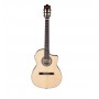 IBANEZ GA360TCE-NT