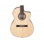 IBANEZ GA360TCE-NT