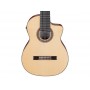 IBANEZ GA3008CE-NT