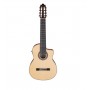 IBANEZ GA3008CE-NT