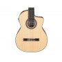 IBANEZ GA3007CE-NT