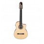 IBANEZ GA3007CE-NT