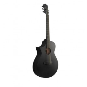 IBANEZ AEWC621L-BOT