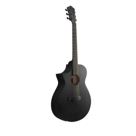 IBANEZ AEWC621L-BOT