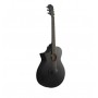 IBANEZ AEWC621L-BOT