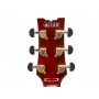 IBANEZ AR625FMSP-CML Caramel Burst Low Gloss
