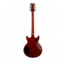 IBANEZ AR625FMSP-CML Caramel Burst Low Gloss