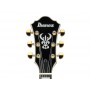 IBANEZ AG95MG DA