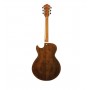 IBANEZ AG95MG DA