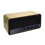 MOOER F40i Li Gold